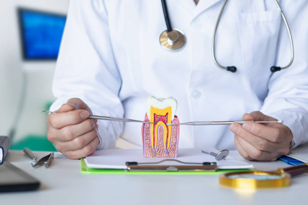Best Emergency Wisdom Teeth Removal in Commerce, OK